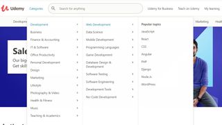 Udemy review: Screenshot of search categories