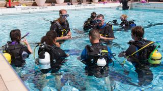 Prince William scuba dives with British Sub-Aqua Club (BSAC) members