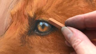 how to draw a fox - image of a fox in pastels