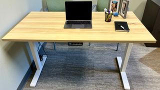 Mount It Electric Standing Desk