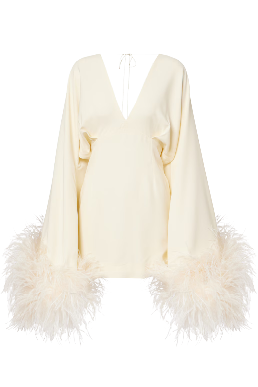 Mini Magnifique Feather-Trimmed Minidress