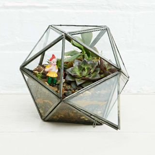 Urban Grow Star Terrarium Planter