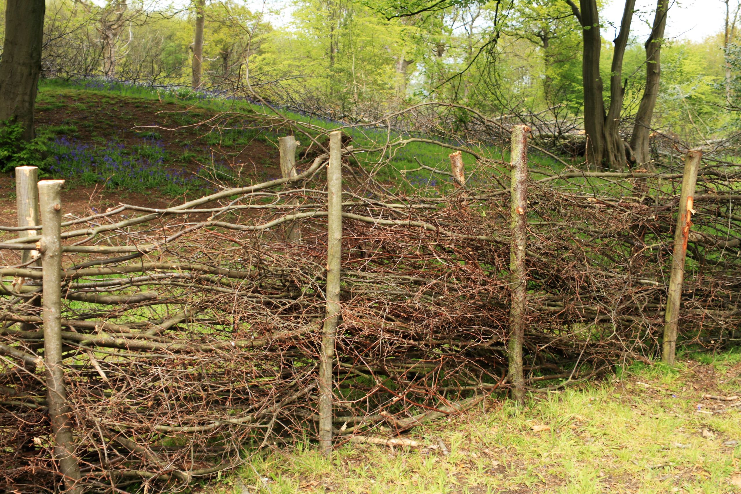 'Ugly, pointless and potentially lethal': Why dead hedges are a gardening fad too far