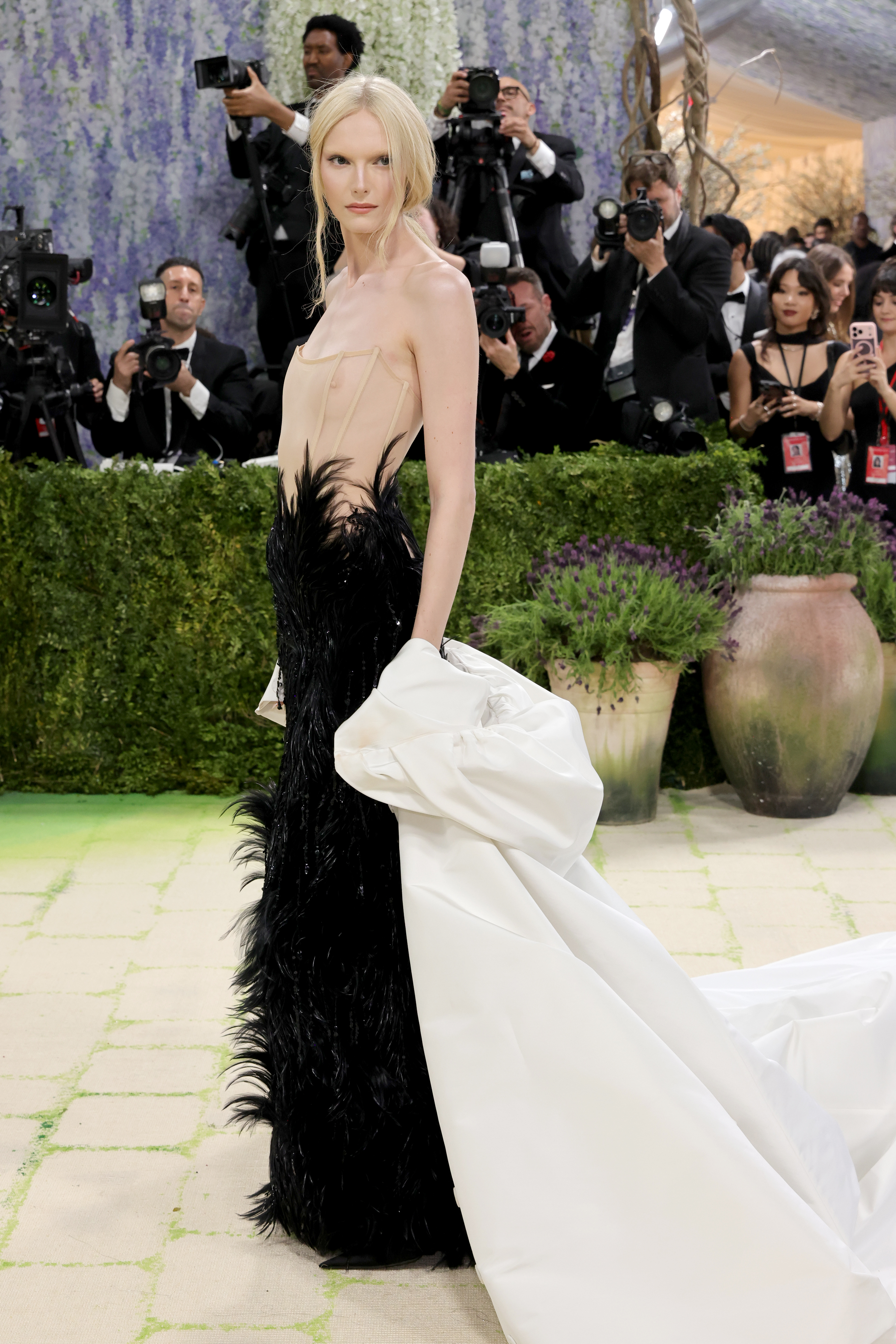 Met Gala 2026 red carpet