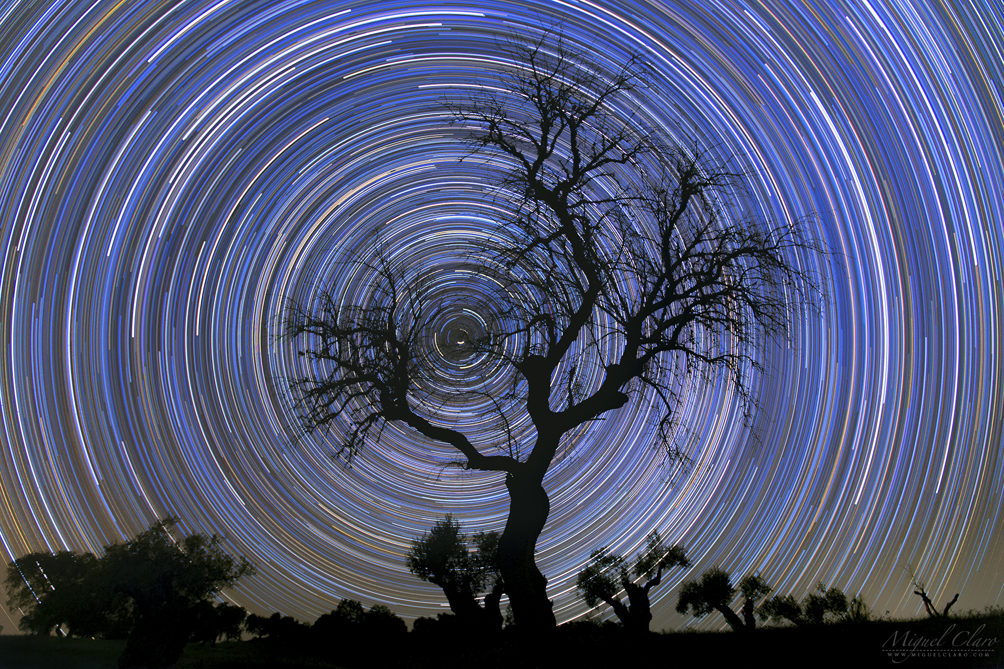 polaris star trails