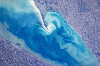 Beautiful Wave Patterns off Lake Erie Near Canada
