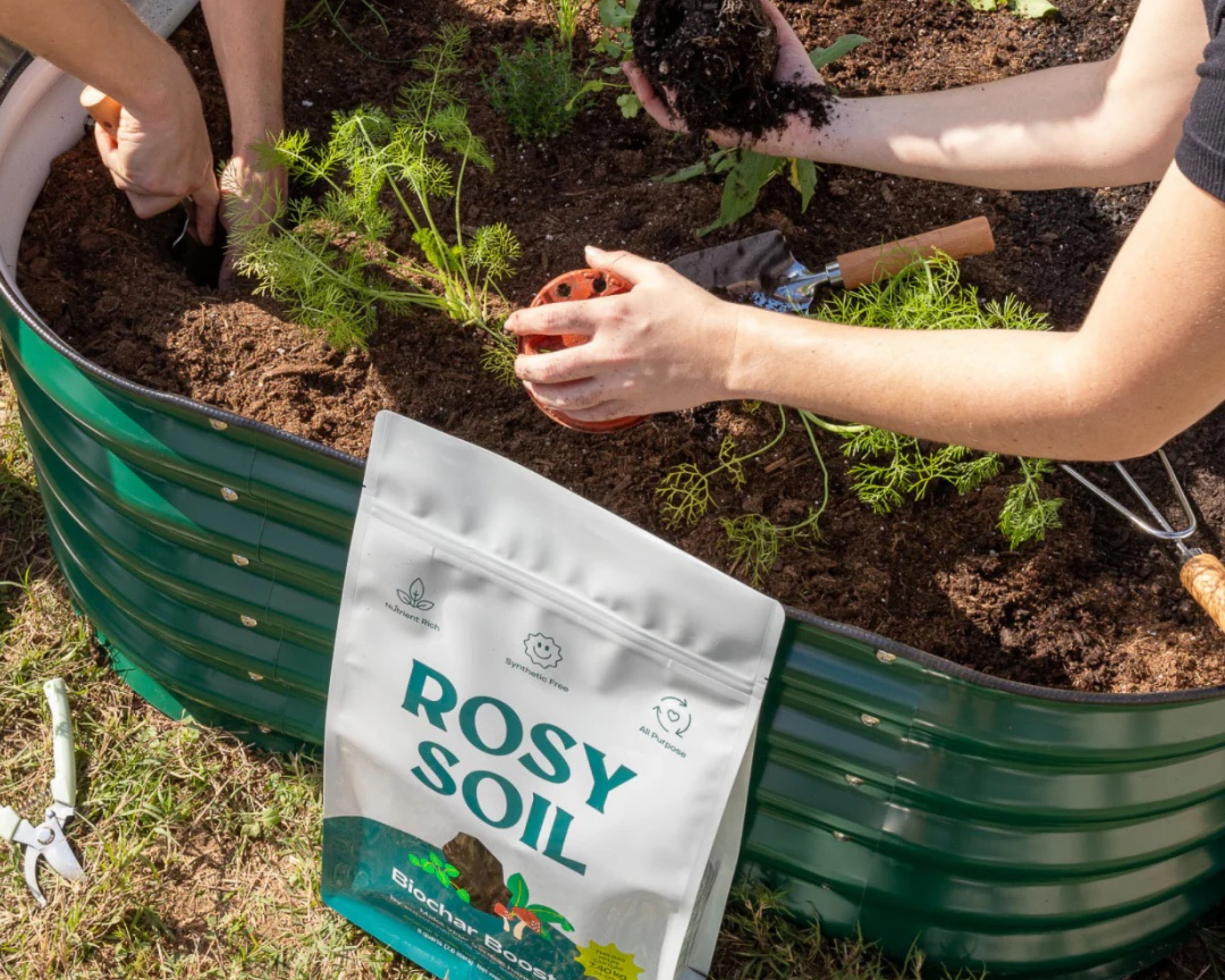 Rosy Soil biochar booster next to a raised bed