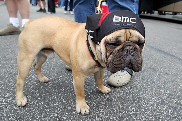 He barks for BMC. Don't mess with him!