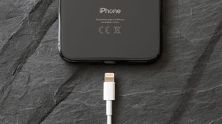 Apple Lightning cable