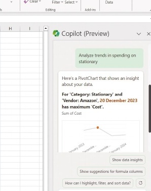 Example of Copilot Pro used in Excel