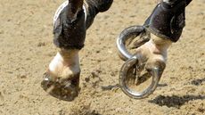 alamy-G3NCX0_299963702_503966762.jpg