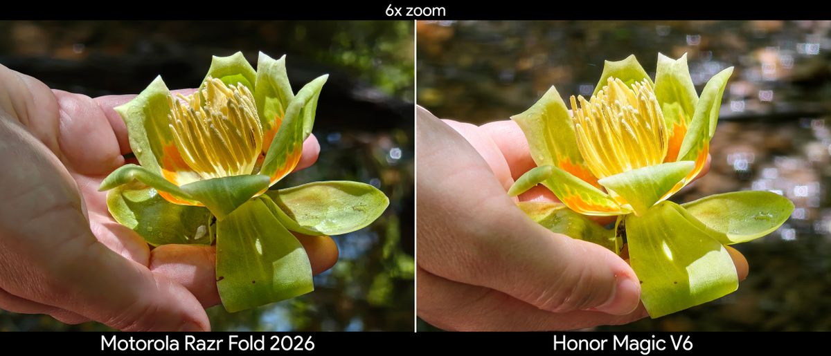 Comparing telephoto camera quality between the Motorola Razr Fold 2026 and Honor Magic V6