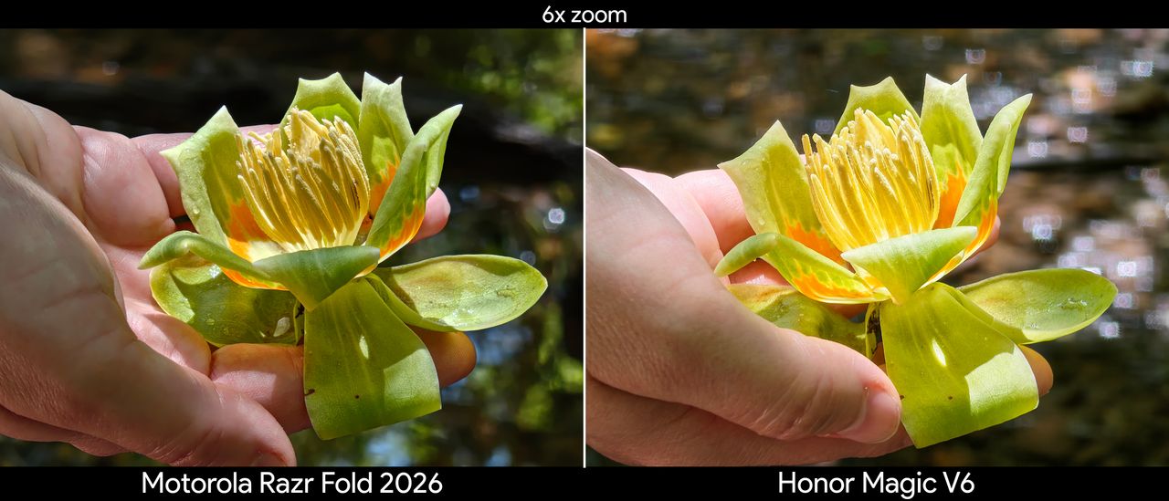 Comparing telephoto camera quality between the Motorola Razr Fold 2026 and Honor Magic V6
