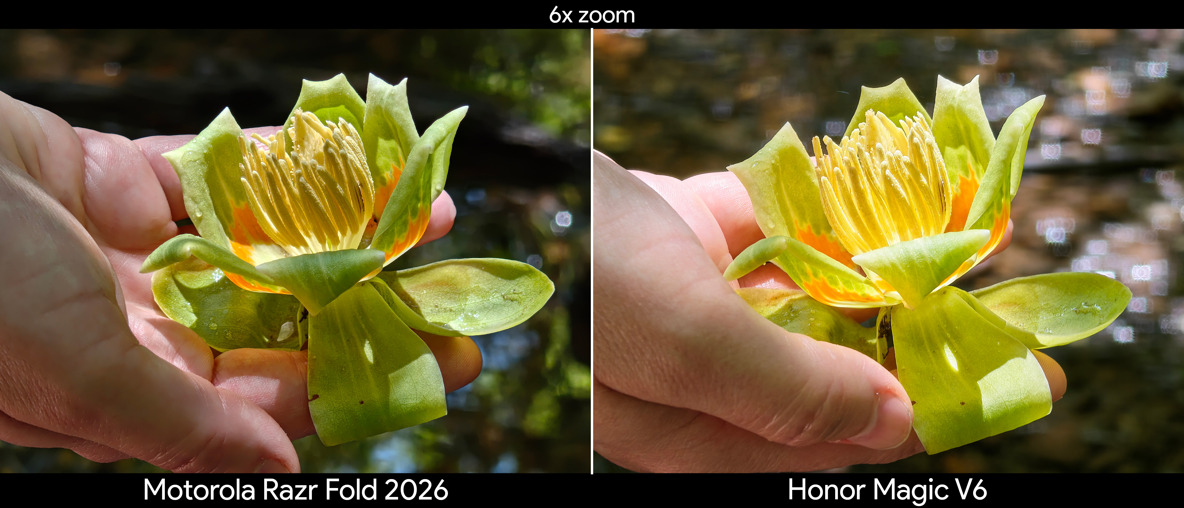 Comparing telephoto camera quality between the Motorola Razr Fold 2026 and Honor Magic V6