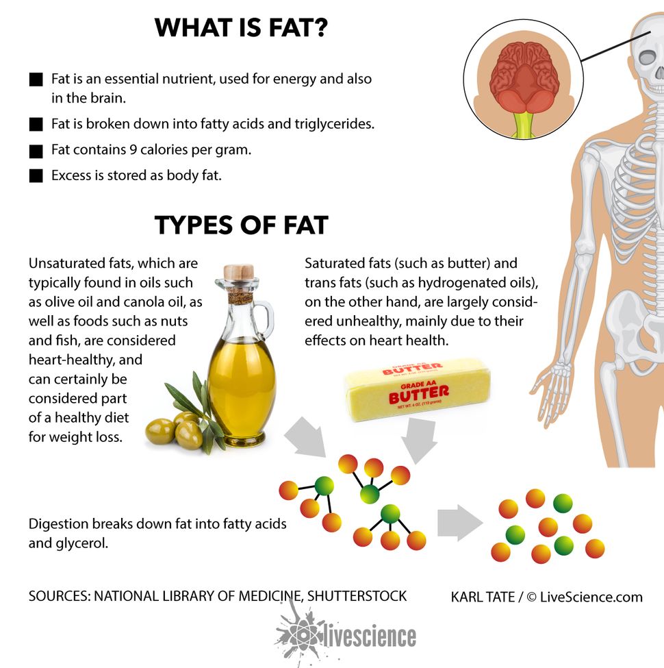 What Are Triglycerides Live Science