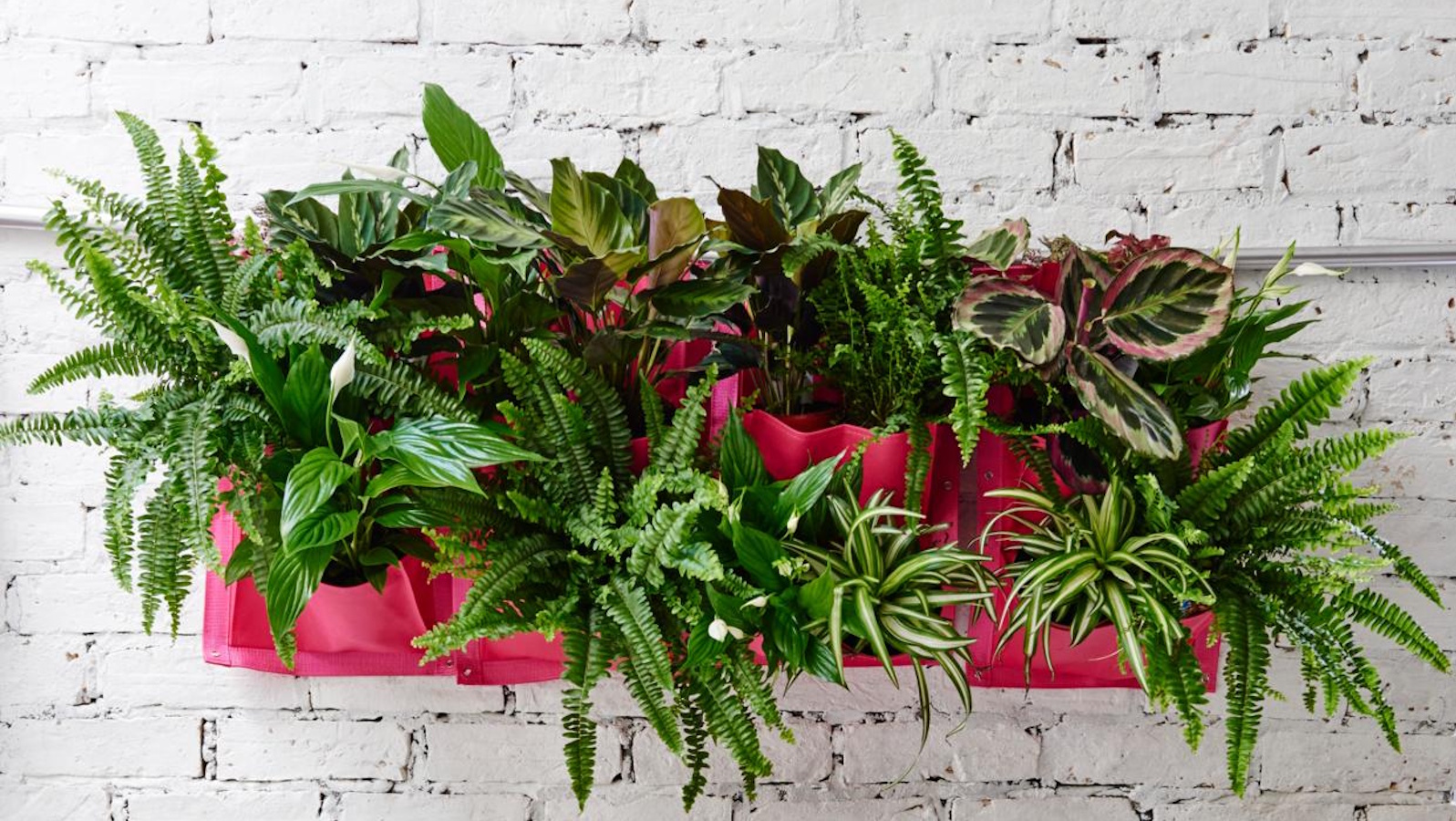 Walmart self-watering planter