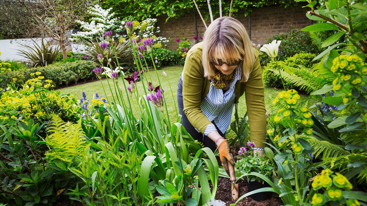 Woman planting in a summertime garden