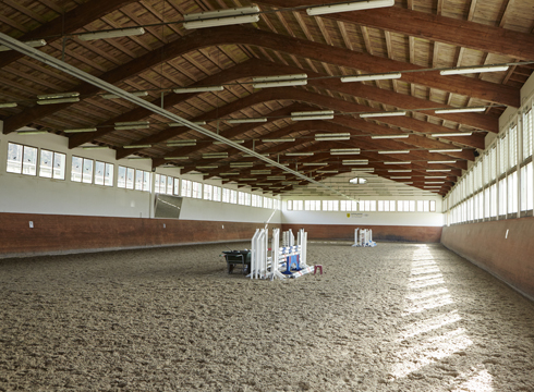 Behind the scenes with Olympic champion Steve Guerdat