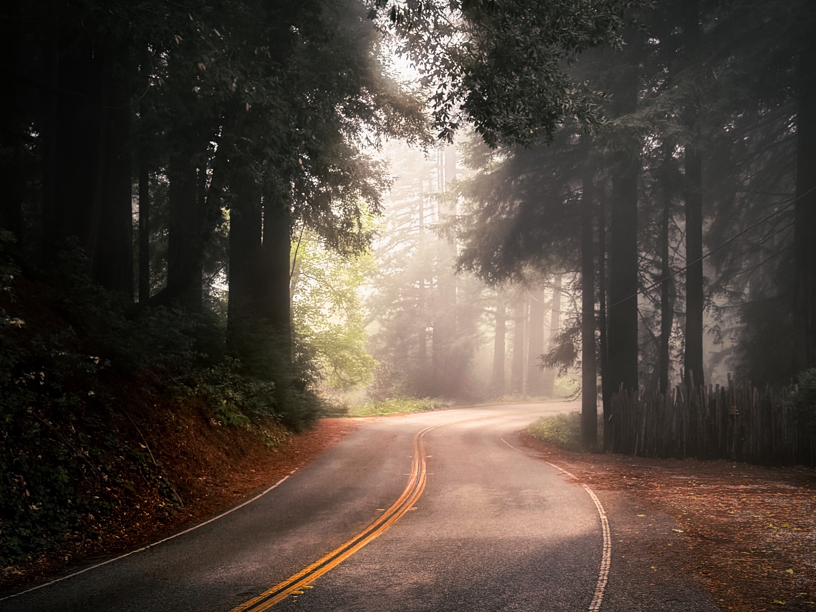 GuruShots - February 2026