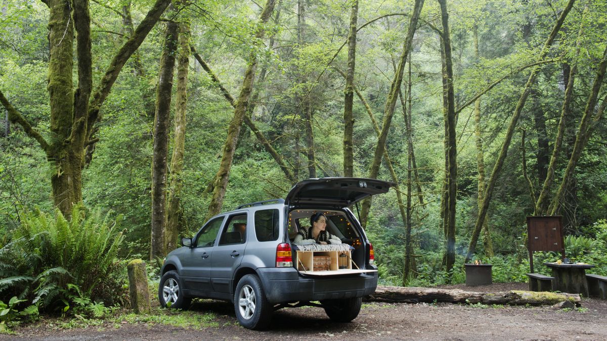 People camping in their Jeep in the woods