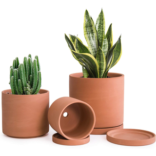 D'vine Dev Terracotta Pots for Plants