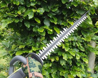 Ryobi 18V ONE+ Cordless 50cm Hedge Trimmer in use in bush