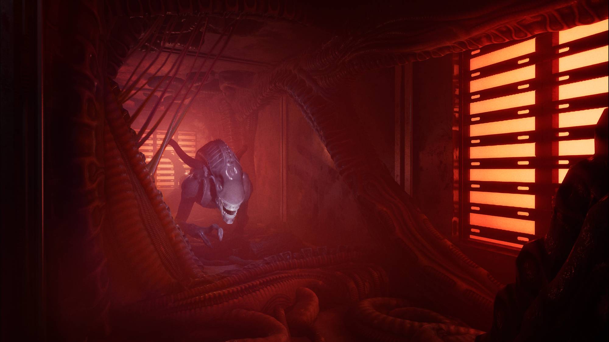 Alien Rogue Incursion Evolved Edition screenshot