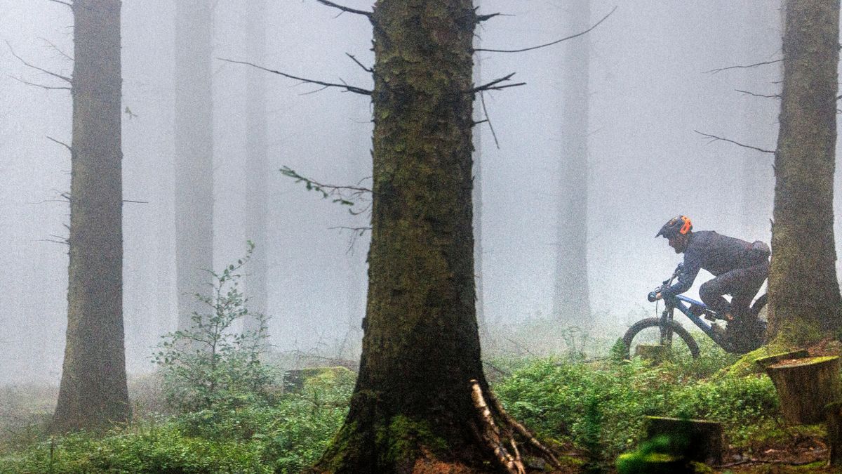 A MTBer riding through misty woods