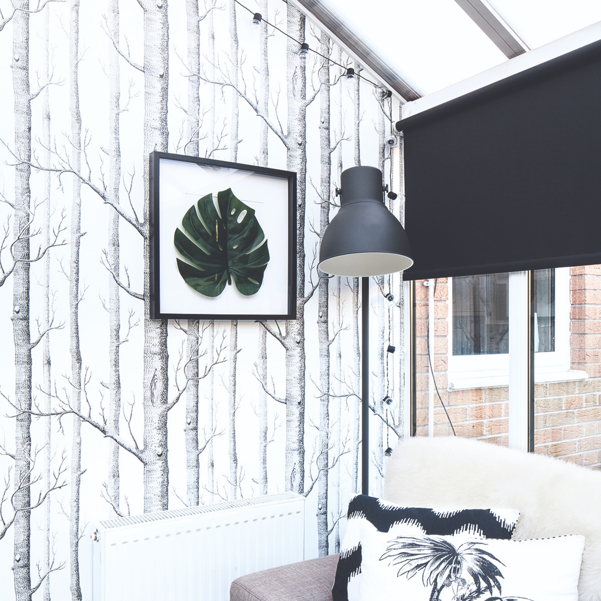 A conservatory with a tree-print wallpaper and a black roller blind covering the window