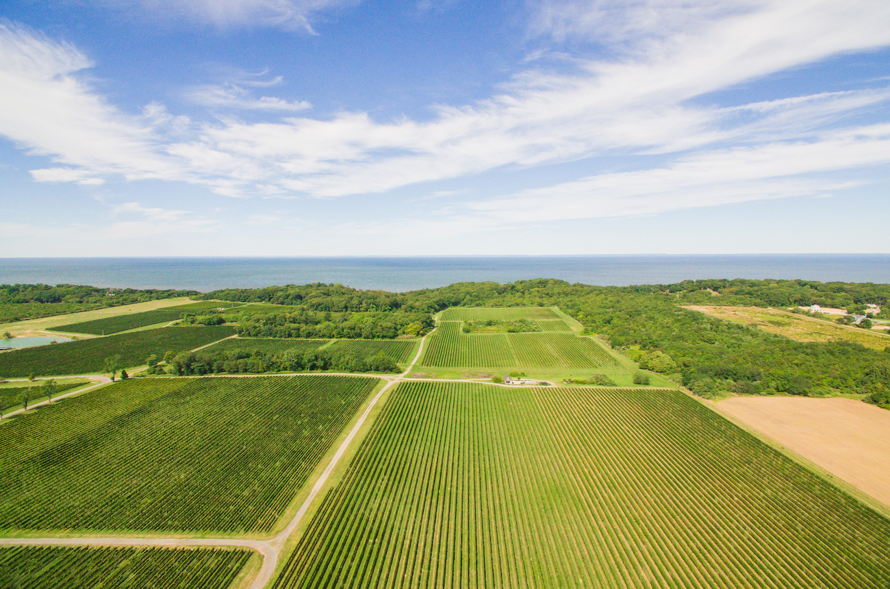 Vineyard-drone-by-Conor-Harrigan.jpg