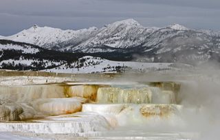 Canary Spring at Mammoth Hot Springs.