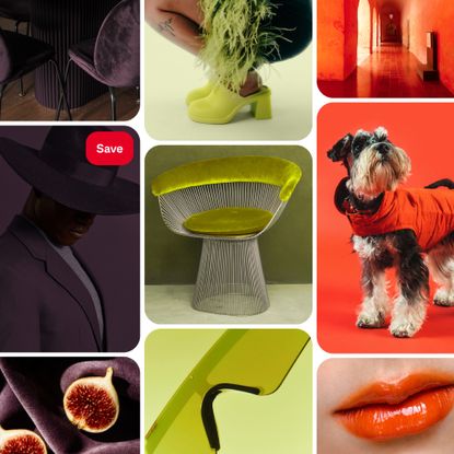 A mood board featuring images of three shades from Pinterest's colour palette 2026 - Plum Noir, Wasabi and Persimmon