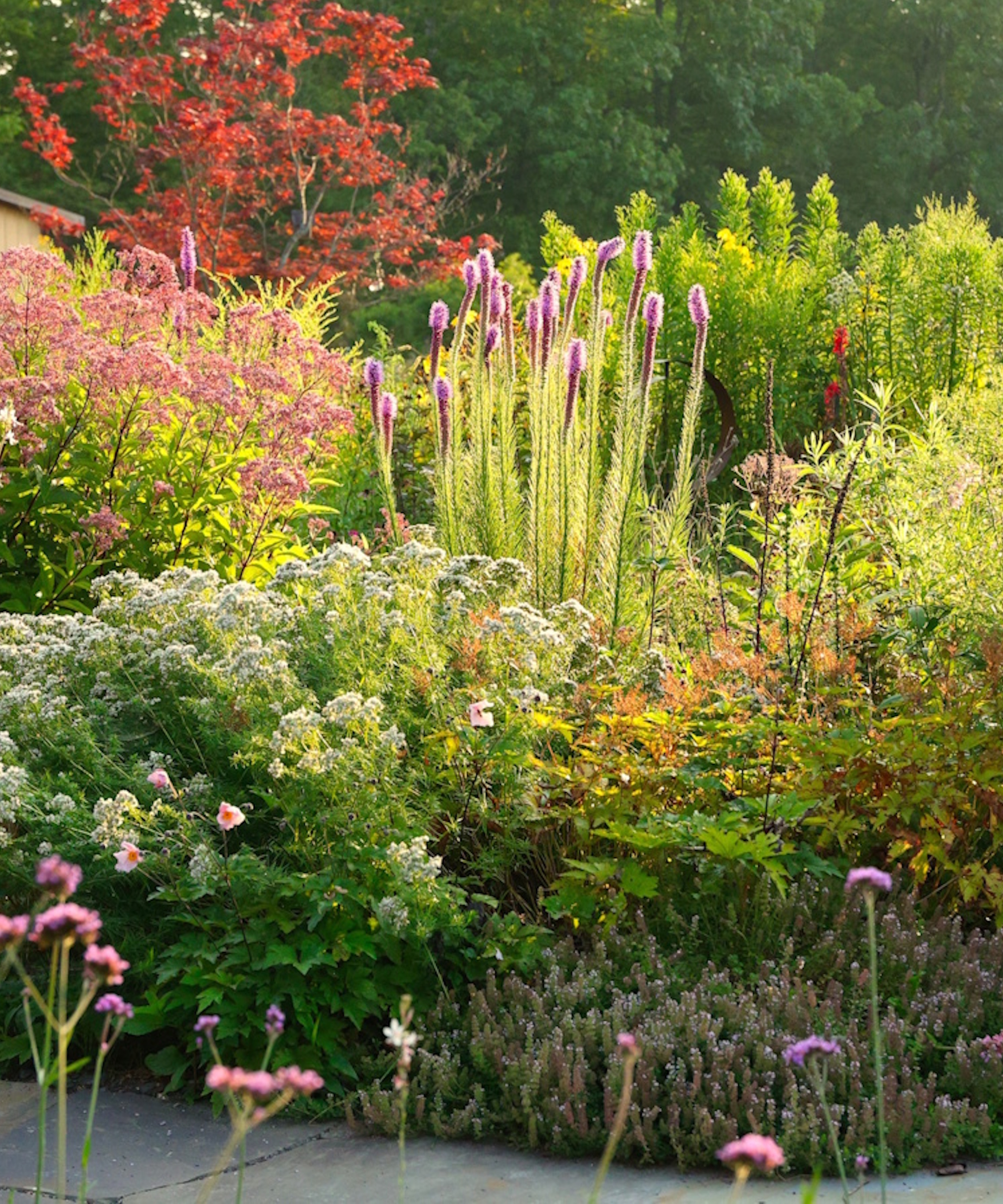Flock Finger Lakes spring flower border