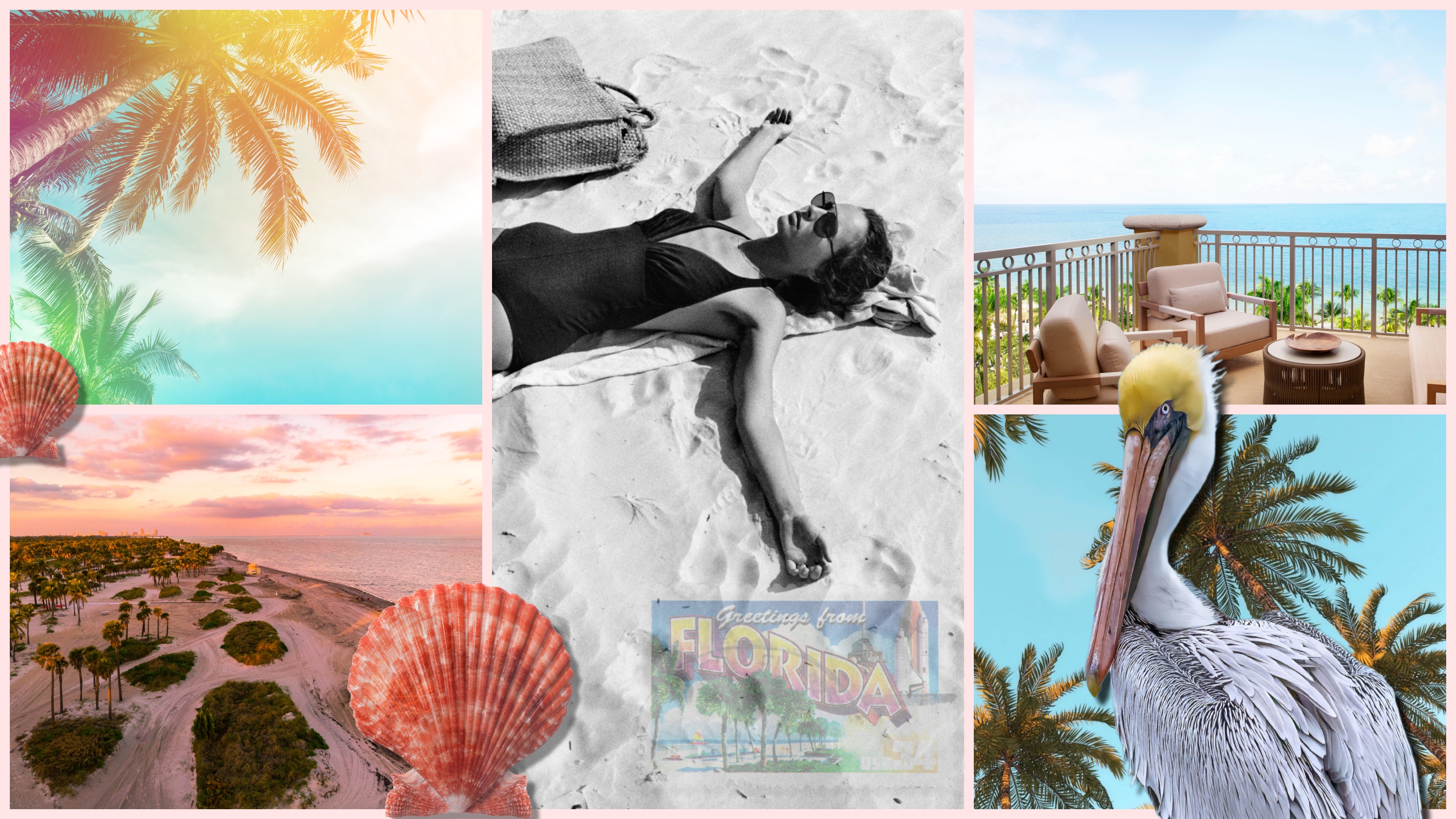 Collage of Key Biscayne, Florida featuring quiet beaches, palm trees, oceanfront views, wildlife, and relaxed coastal scenery near Miami.