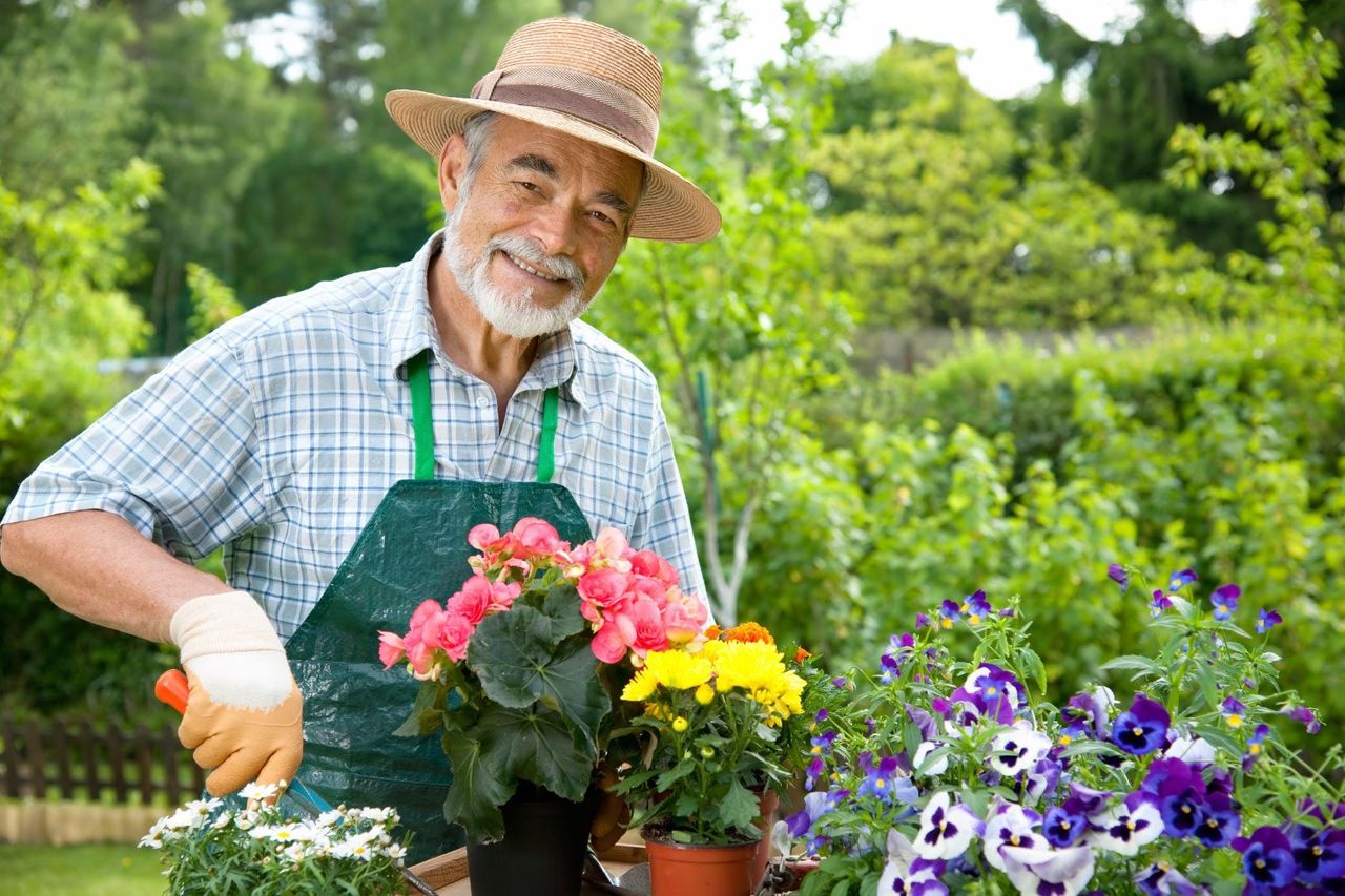 Gardener Planting Flowers