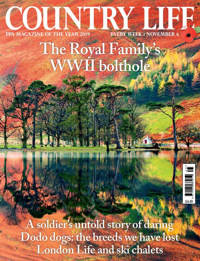 country life cover 6 november 2019