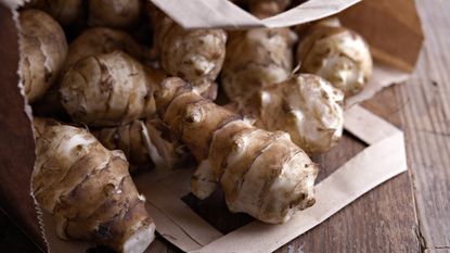 Jerusalem artichoke tubers in a bag