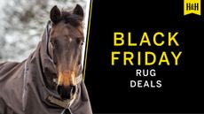 Black Friday horse rug deals graphic