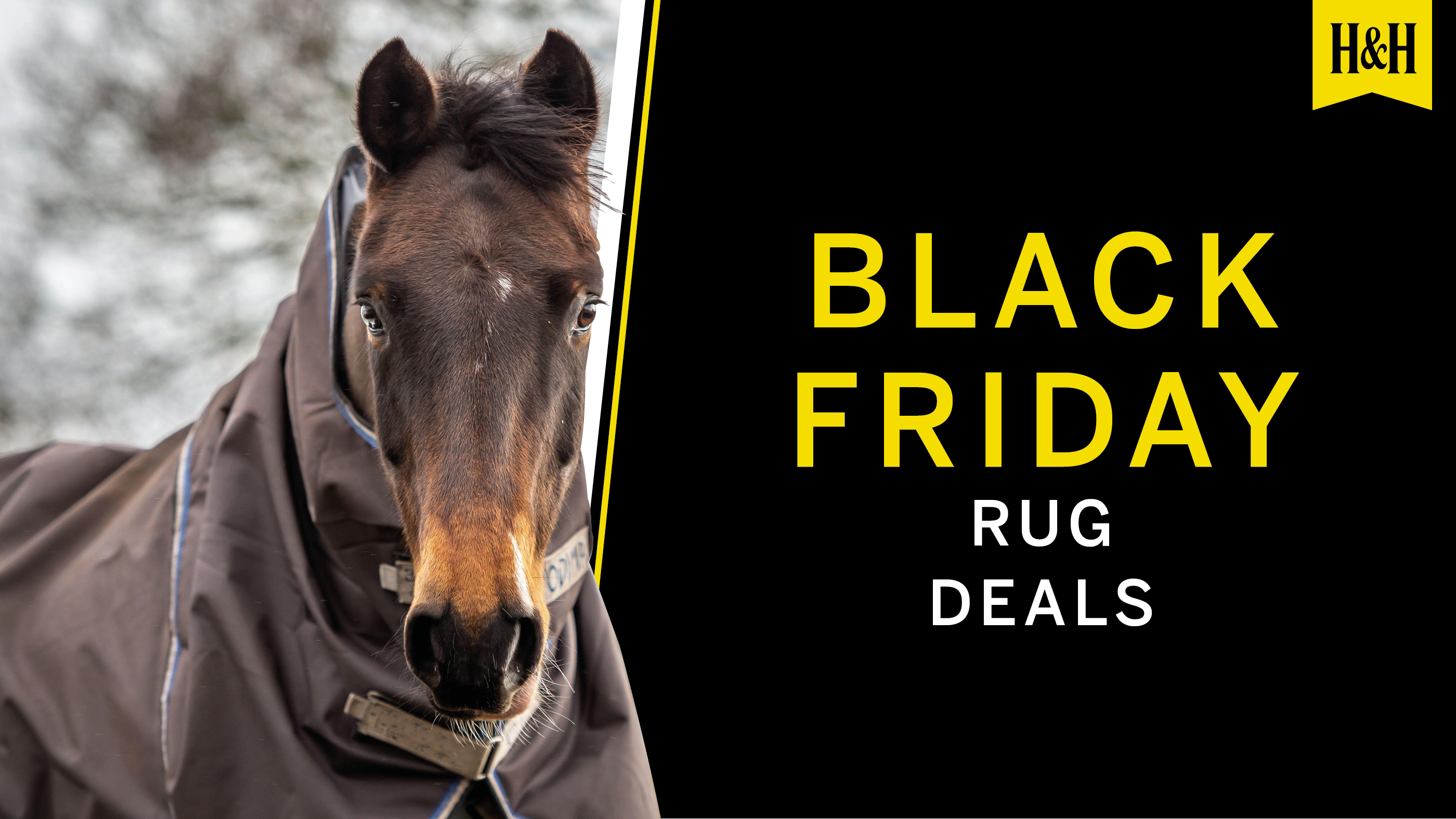 Black Friday horse rug deals graphic