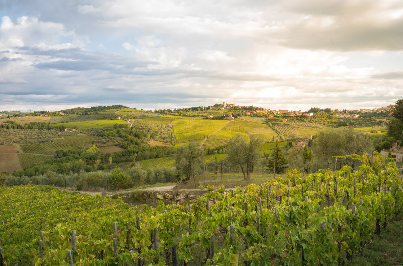 Chianti Classico Gran Selezione 2018
