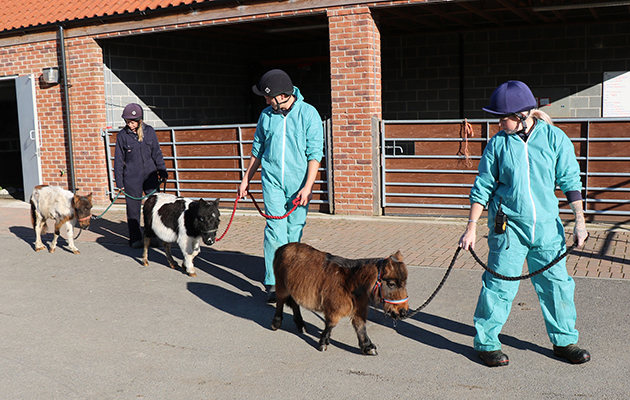 L-R - Alfie, Tyrian, Tinkerbell with staff