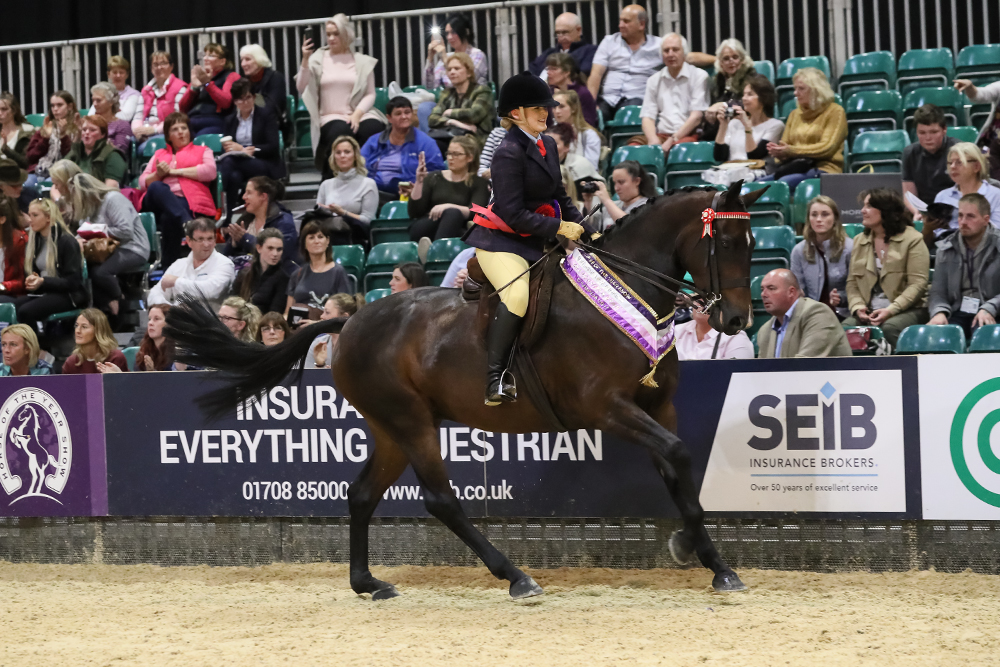 853 Hevans Forever In My Life r Ellie Simmonds riding horse winner
