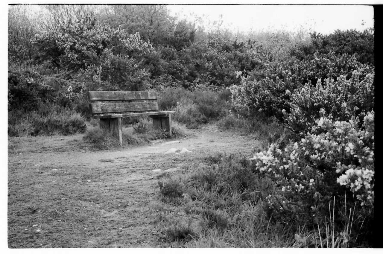 Leica MP image samples
