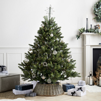 8. Symons Nordmann Fir Christmas Tree | Was
