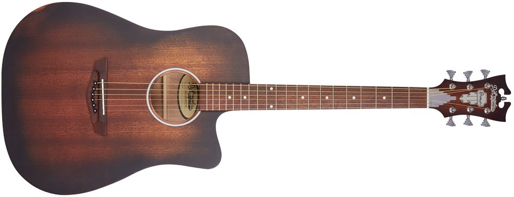 D'Angelico Premier Series LS acoustic