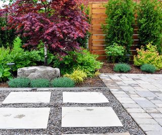 Patio, paving, gravel, acer