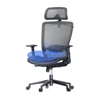 Flexispot Ergonomic office chair
