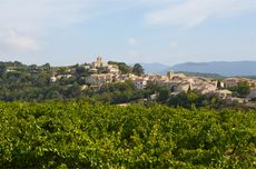 French cooperative wines