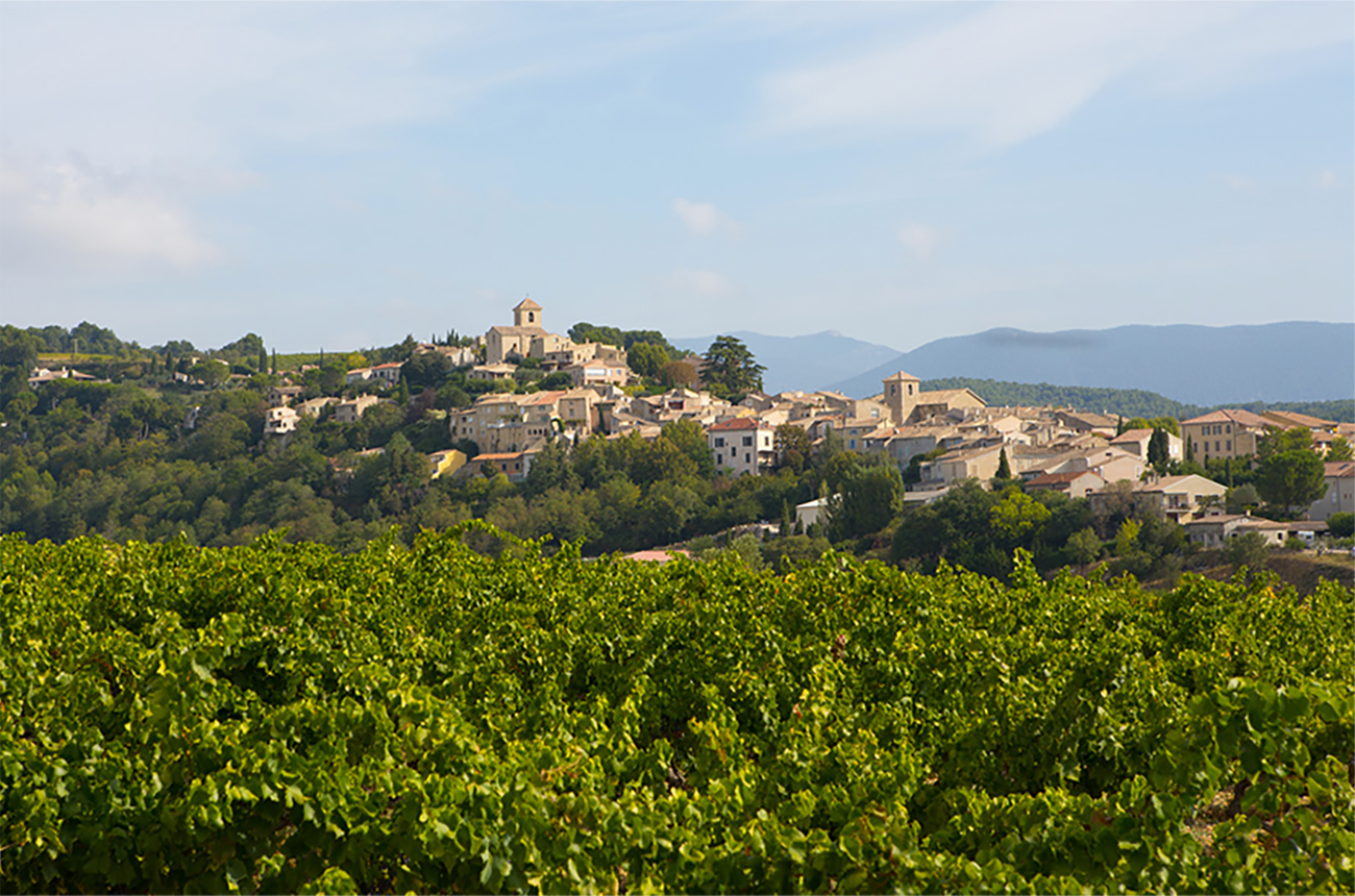 French cooperative wines