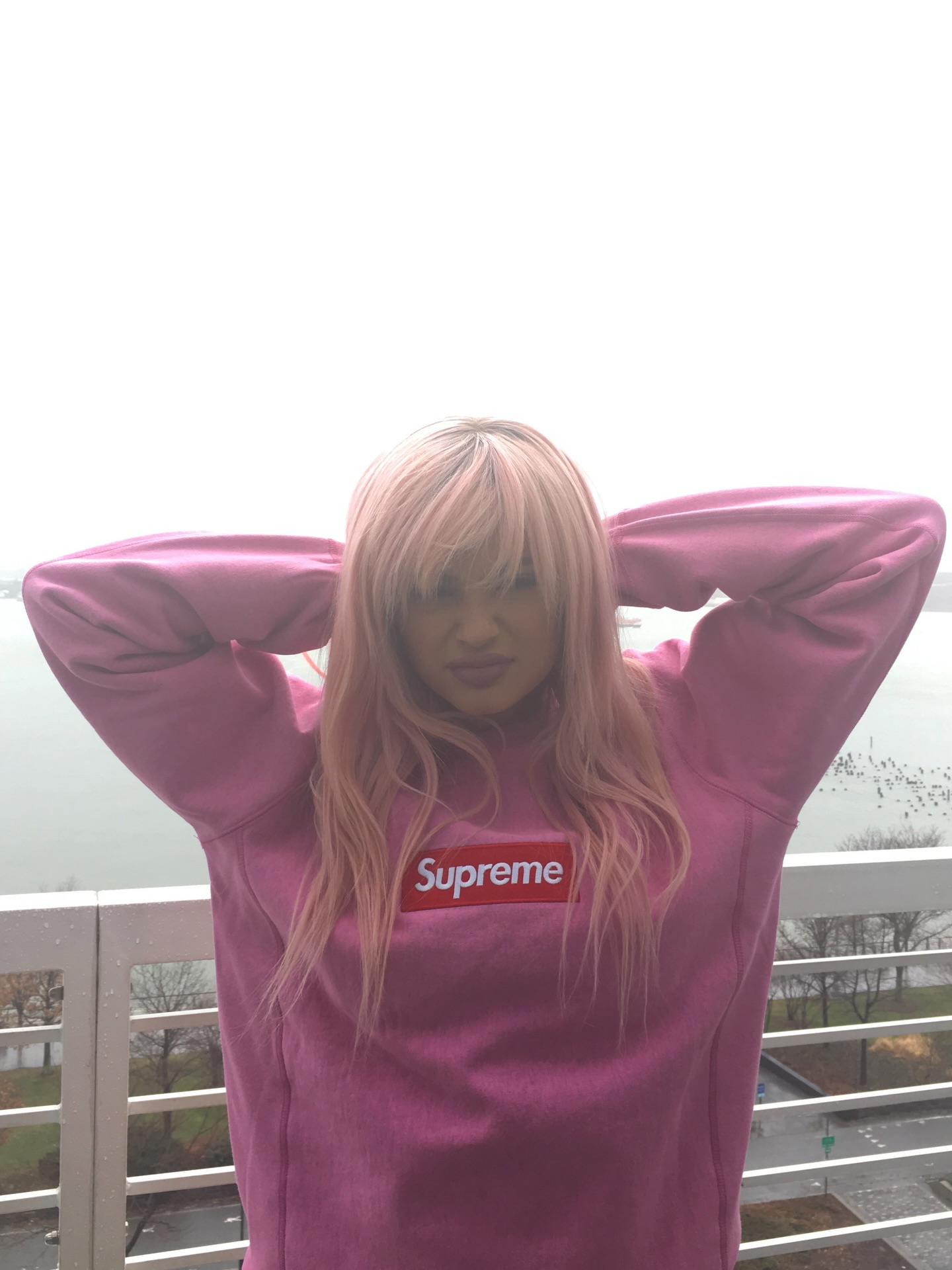 kylie jenner with pink hair and in a pink supreme hoodie